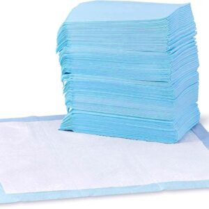 Amazon Fundamentals Canine and Pet Pee Pads with Leak-Proof Fast-Dry Design for Potty Coaching, Customary Absorbency, Common Measurement, 22 x 22 Inches, Pack of 100, Blue & White