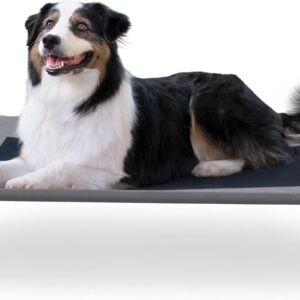 Ok&H Pet Merchandise Outside Elevated Canine Cot, Breathable Cooling Elevated Cot Hammock Pet Mattress for Giant Canines, Washable Mesh Cowl, Raised Metallic Body, Collapsible, Transportable – Giant 42 X 30in Grey